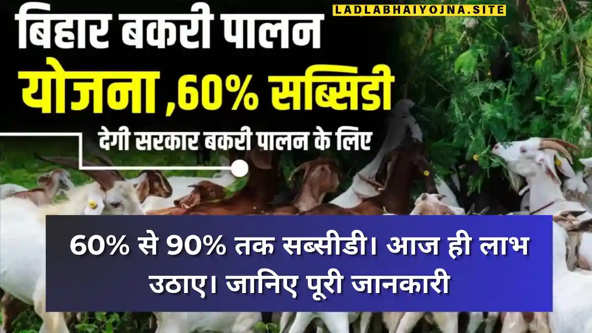 Bihar Bakri Palan Yojana 2024: (बिहार बकरी पालन योजना 2024 क्या है, कब शुरू होगी, लाभ, लाभार्थी, ऑनलाइन आवेदन, आधिकारिक वेबसाइट, हेल्पलाइन नंबर, ताजा ख़बर, स्टेटस, लिस्ट, अप्लाई, रजिस्ट्रेशन, अनुदान राशि, पात्रता, दस्तावेज) (Bihar Bakri Palan Yojana Benefits, Beneficiary, Apply Online, Registration, Offline Registration, Official Website, Helpline Number, List, How to Apply, Status, Registration, Eligibility, Documents, Form pdf, Latest News)