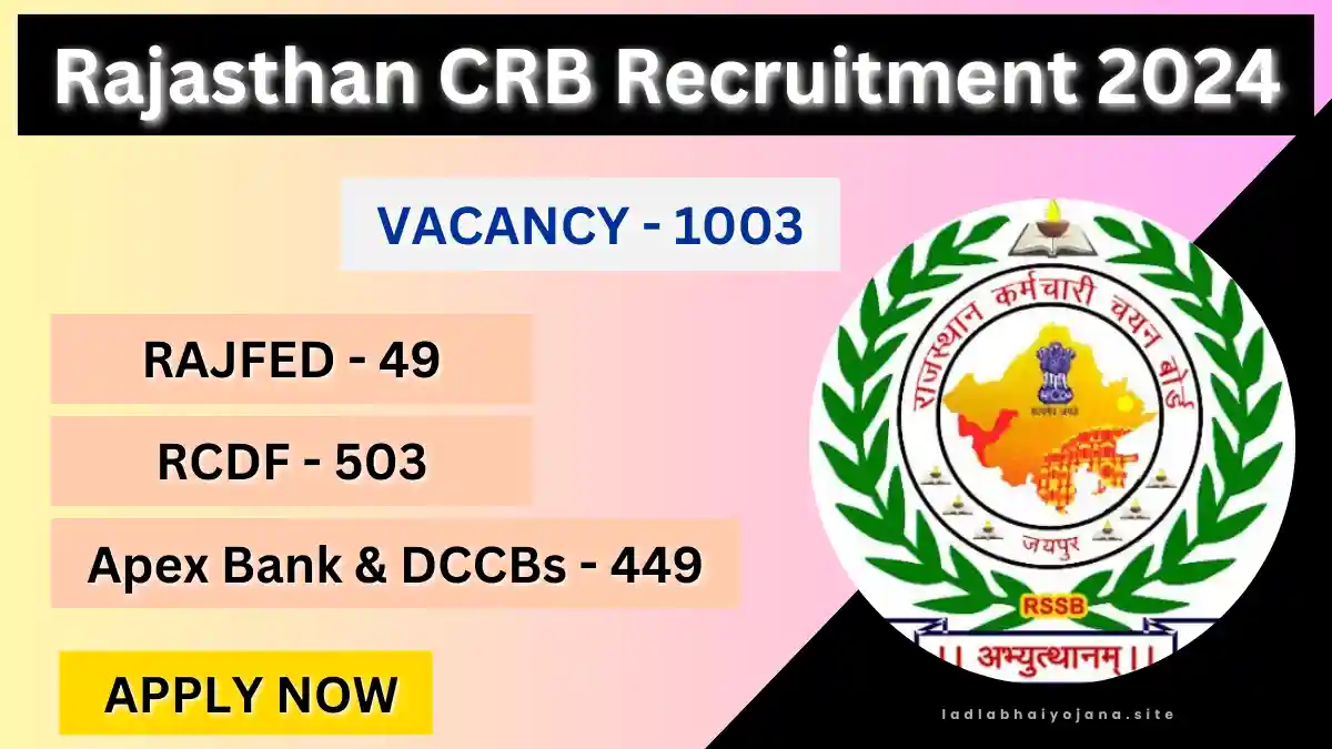 Rajasthan CRB Recruitment 2024, rajcrb.rajasthan .gov.in Recruitment, RCDF Recruitment